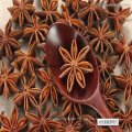 Chinese Star Anise, Illicium Verum